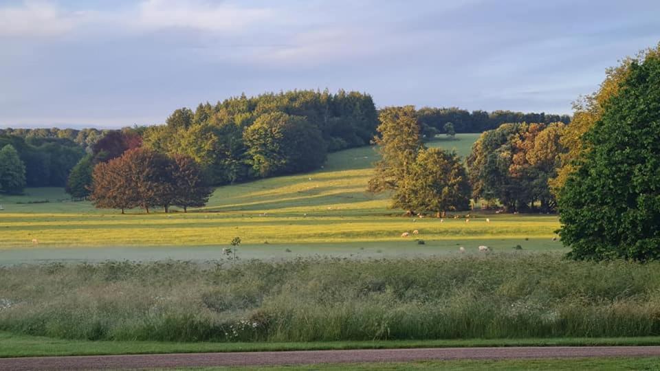 Отель West Dean College Экстерьер фото